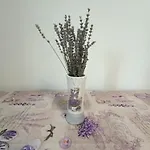 Colt De Lavanda Apartment *