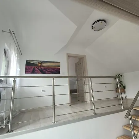 Appartement Colt De Lavanda Braşov