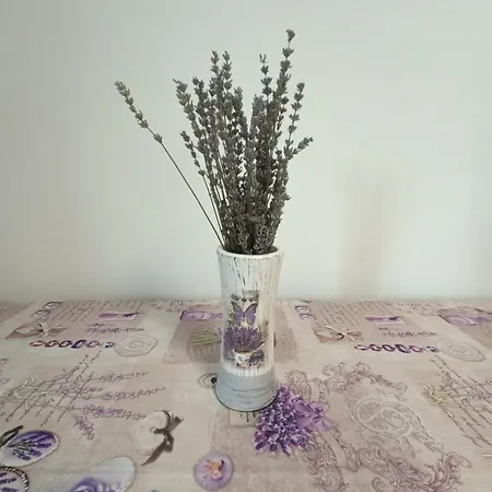 Colt De Lavanda Апартаменты *