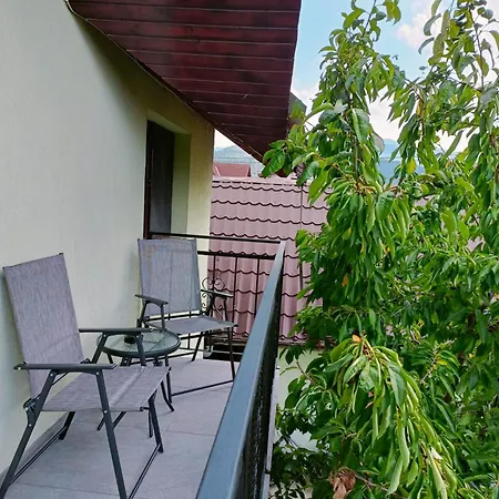 Colt De Lavanda Braşov