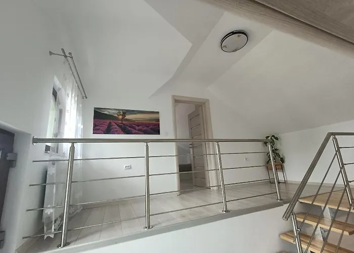 Apartment Colt De Lavanda Brasov