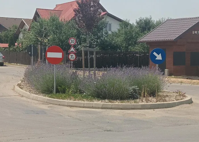 Apartment Colt De Lavanda Brasov