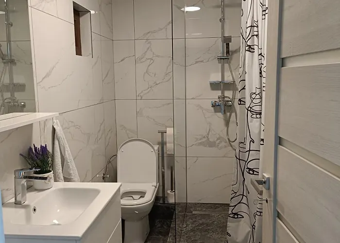 Colt De Lavanda Brasov