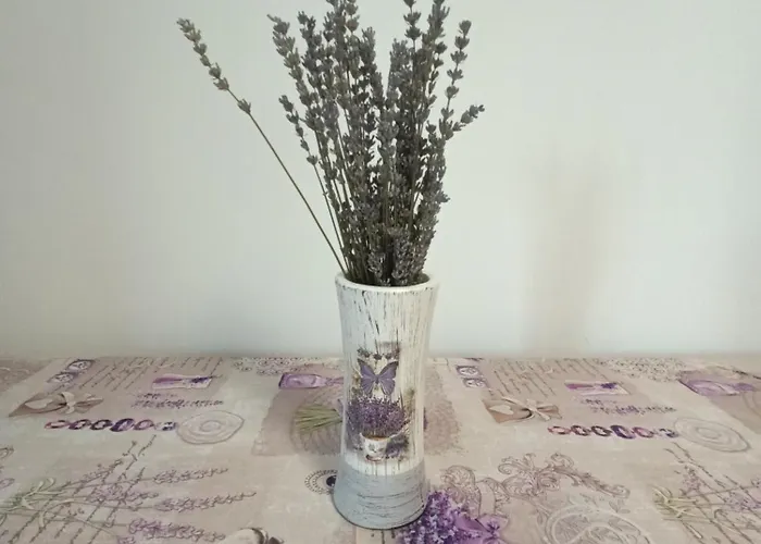 Colt De Lavanda Apartment *