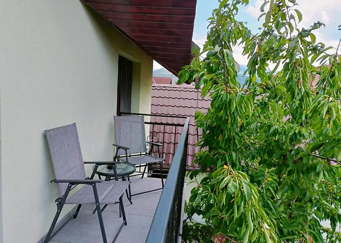 Colt De Lavanda Brasov